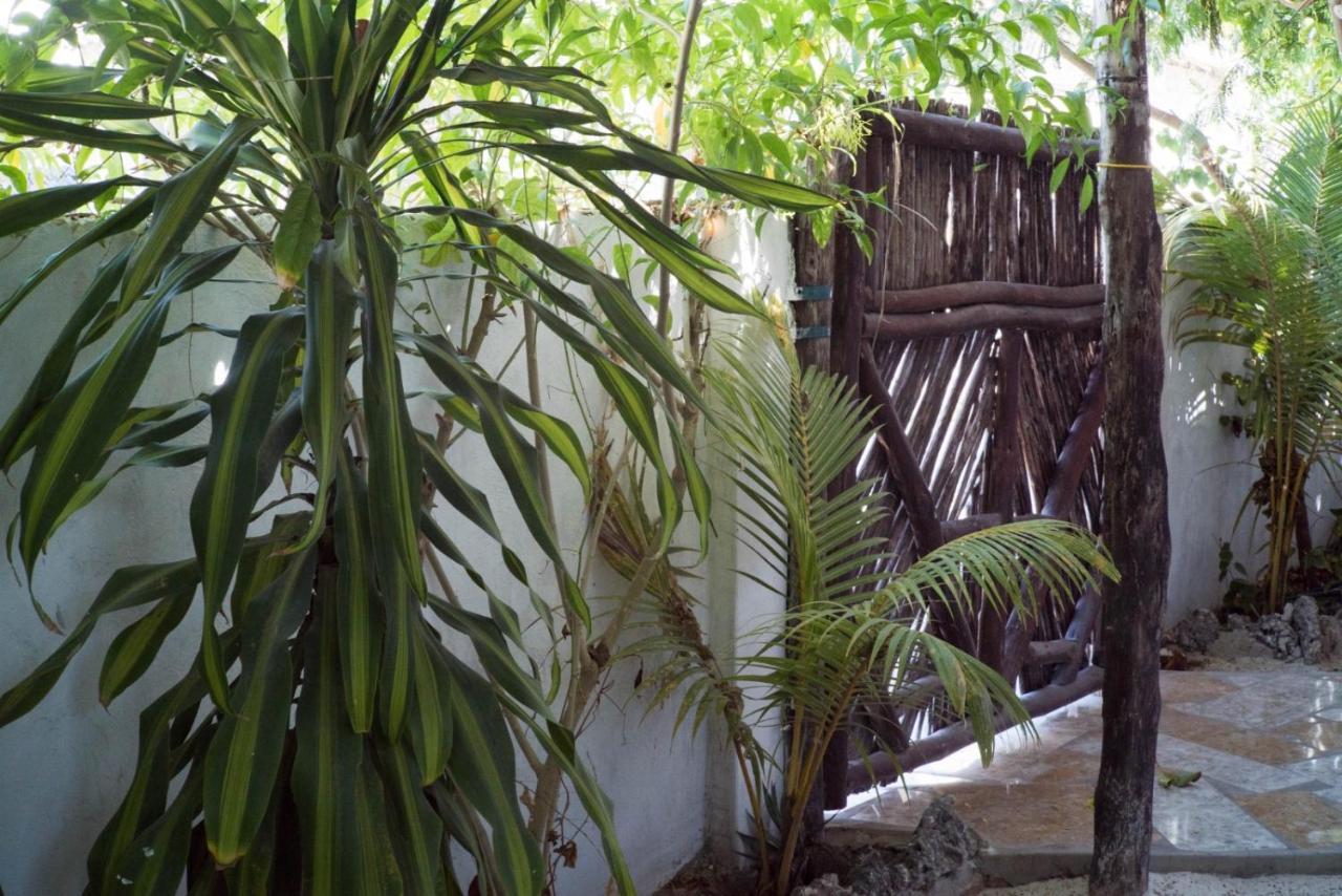 Blue Roof Lodge Jambiani Jambiani  Extérieur photo